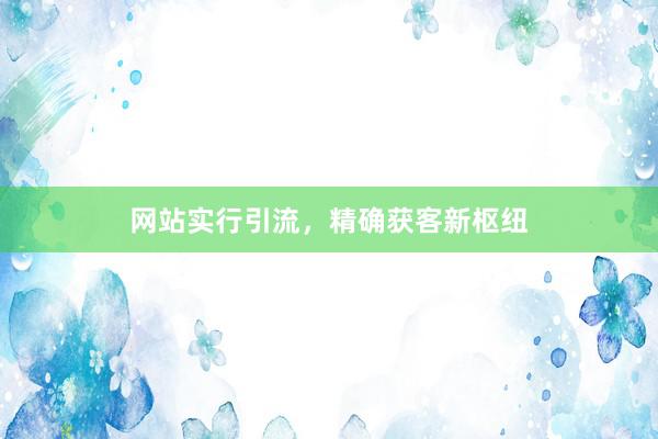 网站实行引流，精确获客新枢纽