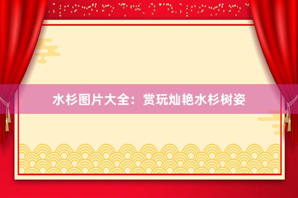 水杉图片大全：赏玩灿艳水杉树姿