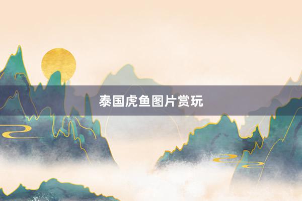 泰国虎鱼图片赏玩